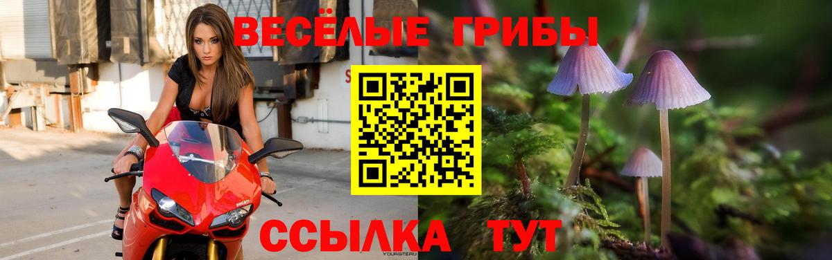 Североуральск  Псилоцибиновые грибы мухоморы  Вход с VPN 